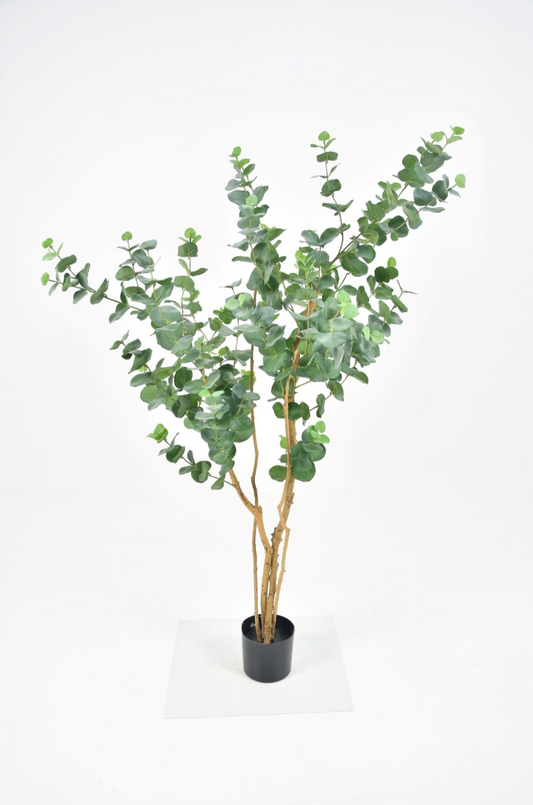 Kunstplant Eucalyptus (Real touch)