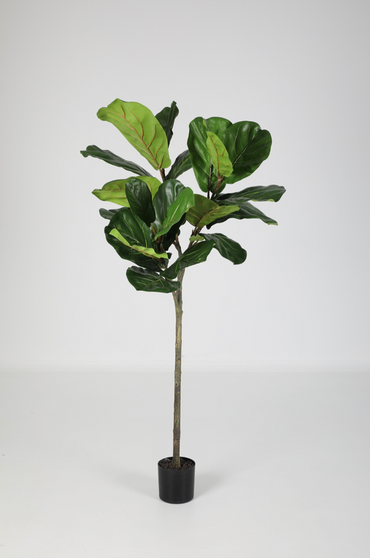 Kunstplant Ficus tabaksplant