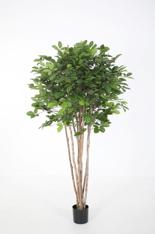 Kunstplant Hornbeam