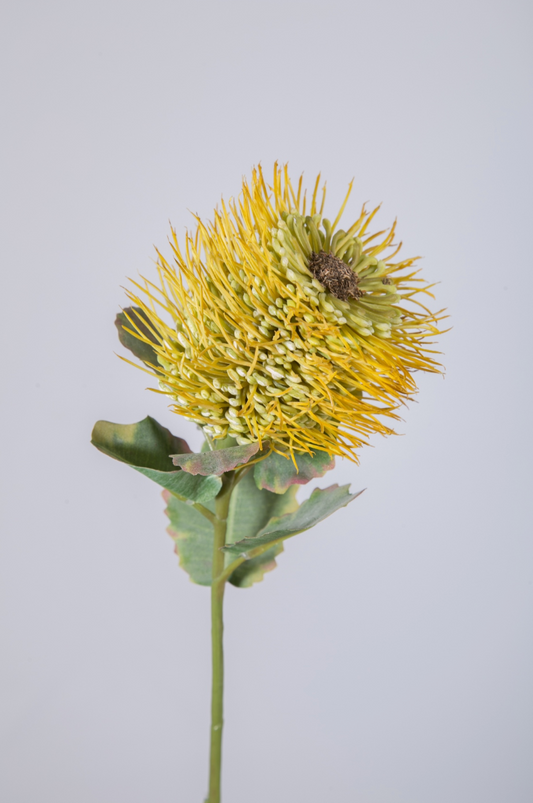 Kunstbloem Hybrid leucospermum (real touch)