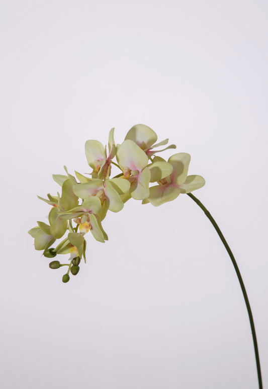 Kunstbloem Orchidee (real touch)