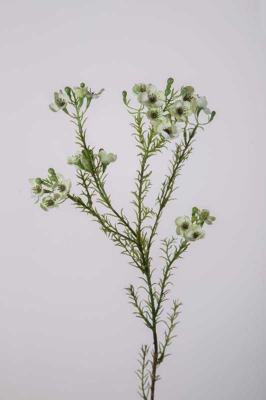 Kunstbloem waxflower